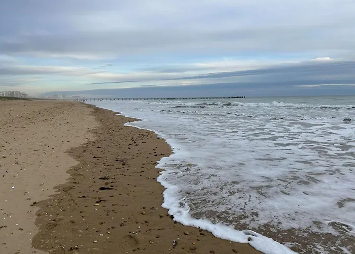 2-3 Pers Bord De Avec Parking Prive - Fr-1-224c-491 * Saint-Jean-de-Monts